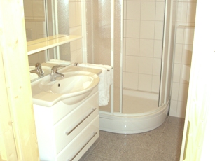 Downstairs shower room